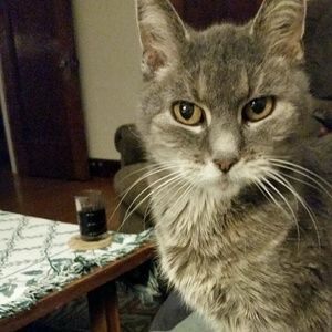 Meet your Posher, Susan